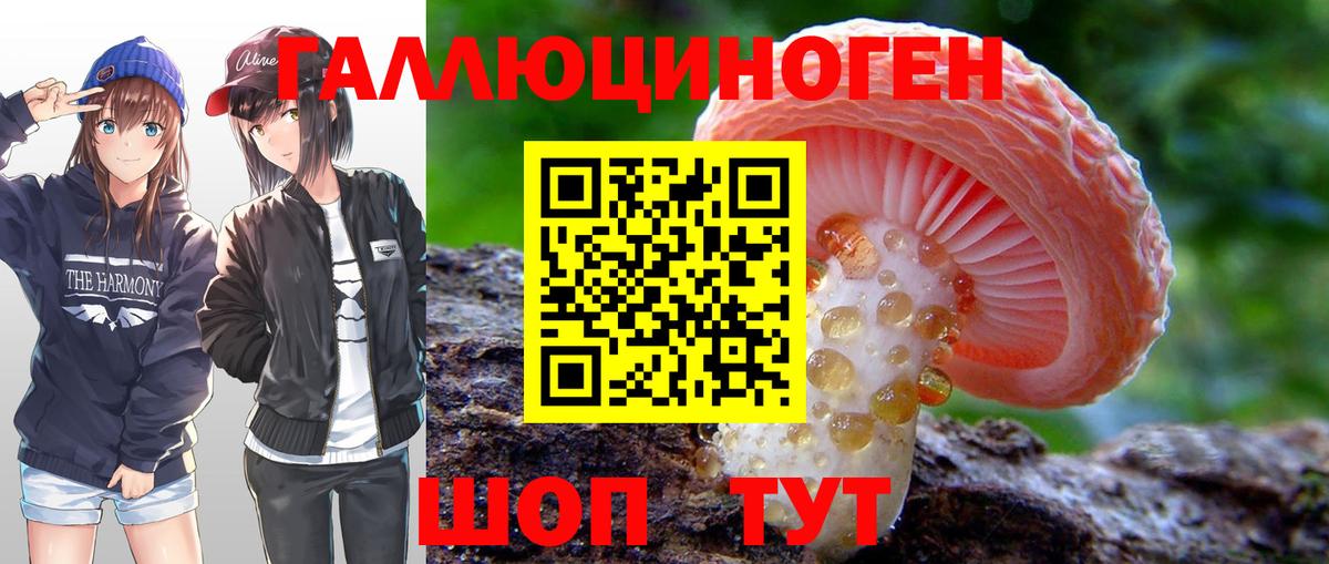 Галлюциногенные грибы Psilocybe Копейск